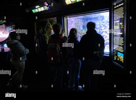 WASHINGTON DC, USA - A family of visitors to Washington DC's National Aquarium inspect one of ...