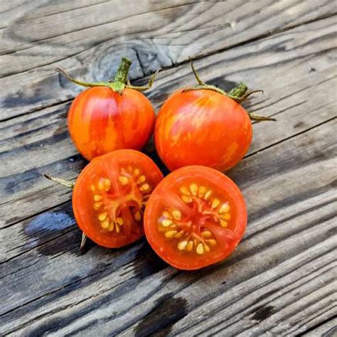 Ruby Slippers Dwarf Tomato Meraki Seeds