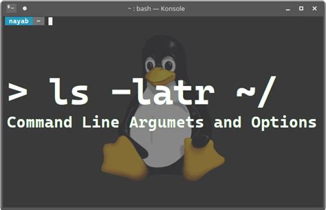 Command Line Options And Arguments Briefly Letter Sort Argument Command