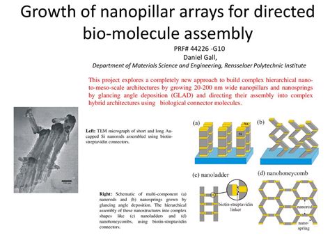 Growth Of Nanopillar Arrays For Directed Bio Molecule Assembly Ppt