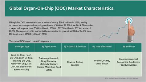 Ppt Organ On Chip Ooc Market Global Industry Analysis Size Share