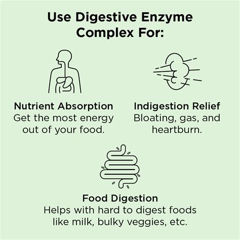 Digestive Enzyme Complex: Best Natural Digestive Enzymes Supplement ...