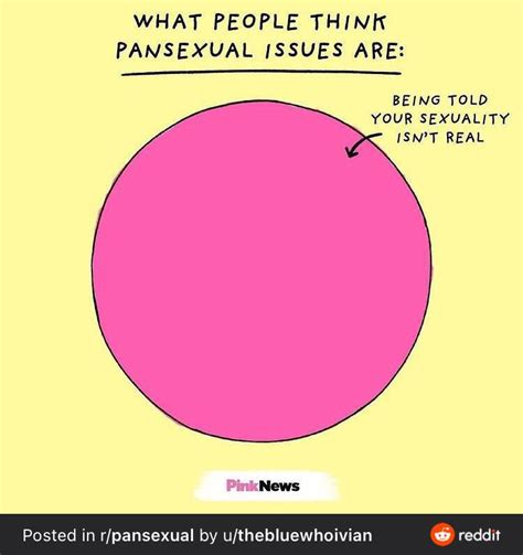 History Of The Pansexual Label Part 1 Panandproud