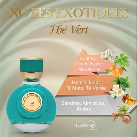 Perfume Para Mujer The Vert Terramar Notes Exotiques Jazmín Meses sin