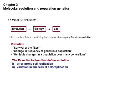 Ust St Molecular Evolution Bioinformatics And Molecular