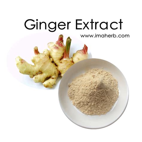 Ginger Root Extract Ginger Extract Gingerols