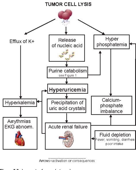 Figure From Pitfalls Prevention And Treatment Of Hyperuricemia