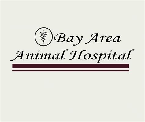 Bay Area Animal Hospital – AshLand