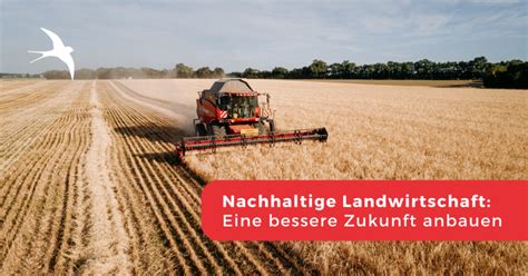 Nachhaltige Landwirtschaft Eine Bessere Zukunft Anbauen Ecocert