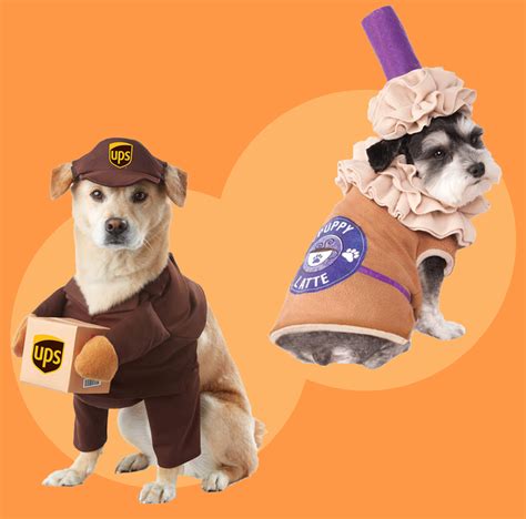 45 Funniest Dog Halloween Costumes 2022 — Best Dog Costume Ideas