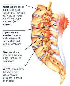 Lower Back Pain Causes: Musculoskeletal & Pathological Causes