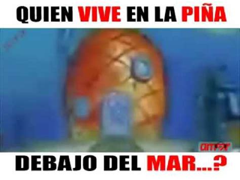 Quien Vive En La Pi A Debajo Del Mar Youtube