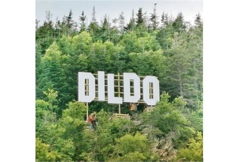 Trinity Bay Community Of Dildo Attracting People With More Than Its Name Pni Atlantic News
