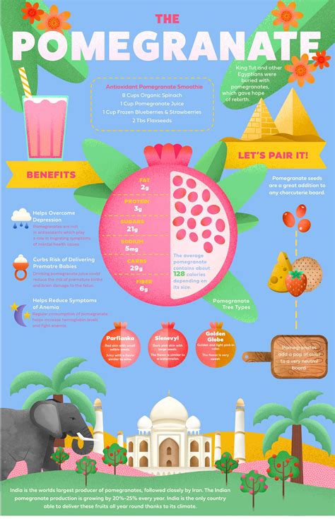 Fruit Infographics — Taylor Ungureanu