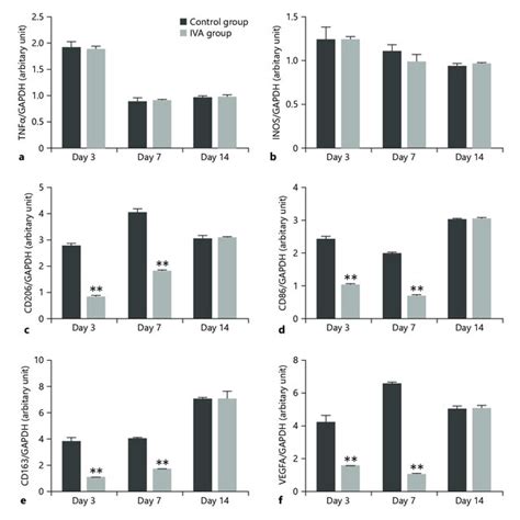 Rt Pcr Analysis Of Gene Expression Of Tnf α Inos Cd206 Cd86 Cd163