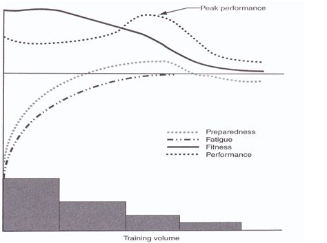 DSS Elite Coaching Tapering For Sport By Caoimhe Morris MSc