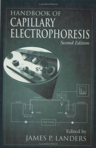 Amazon Handbook Of Capillary Electrophoresis Second Edition Landers James P Organic