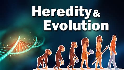 Class 10 Heredity And Evolution Science 2 Maharashtra Board YouTube