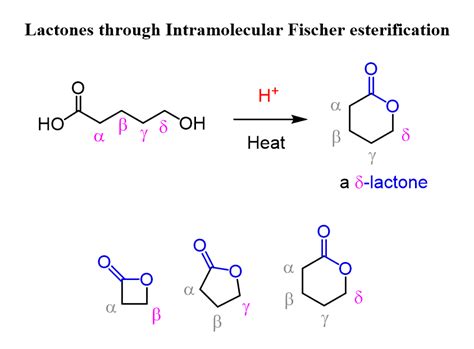 Fischer Esterification Chemistry Steps