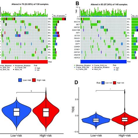 Tumor Mutational Burden Tmb And Tumor Immune Dysfunction And