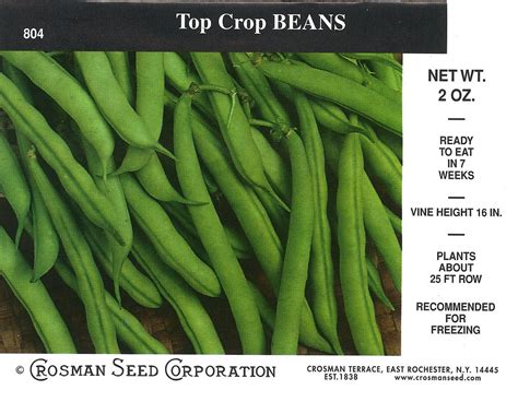 804 Top Crop Green Bean Crosman Seed Corp