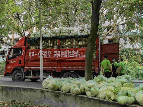 【光明日报】重庆石柱县53万斤爱心蔬菜支援西南大学 宣传部