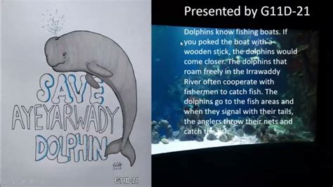 Save Ayeyarwady Dolphins By Goal Diggers Students Activities Gade 11