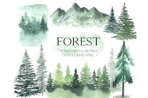 Watercolor Forest Tree Clipart Graphic By Larysa Zabrotskaya Creative