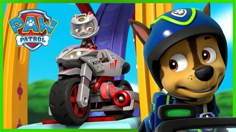 Chase I Wildcat Powstrzymują Hau Hau Bandę I Nie Tylko Psi Patrol Paw Patrol Po Polsku Youtube