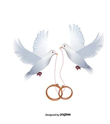 Wedding Clipart Doves