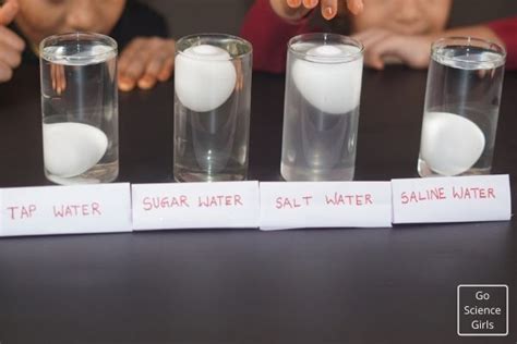 Floating Egg Science Experiment ( Using Salt, Sugar & Saline Water)