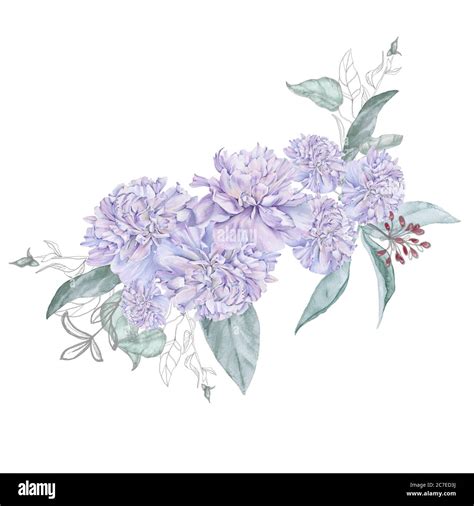 Bouquet of peony flowers. Isolated drawing Stock Photo - Alamy