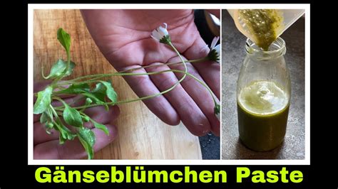 Gänseblümchen Paste herstellen Gänseblümchenpesto Selbstversorgung