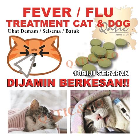 Fast Deliver Ubat Selsema And Demam And Batuk Untuk Kucing 10 Biji Lazada