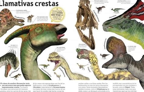 Los Dinosaurios Viv An Antes De La Prehistoria Incre Ble