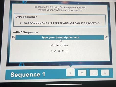 Solved Transcribe The Following Dna Sequence From Hba Chegg