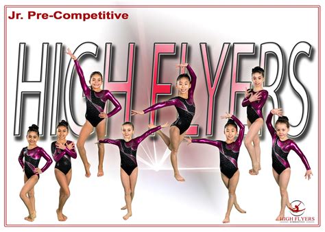 2018-2019 - High Flyers Gymnastics