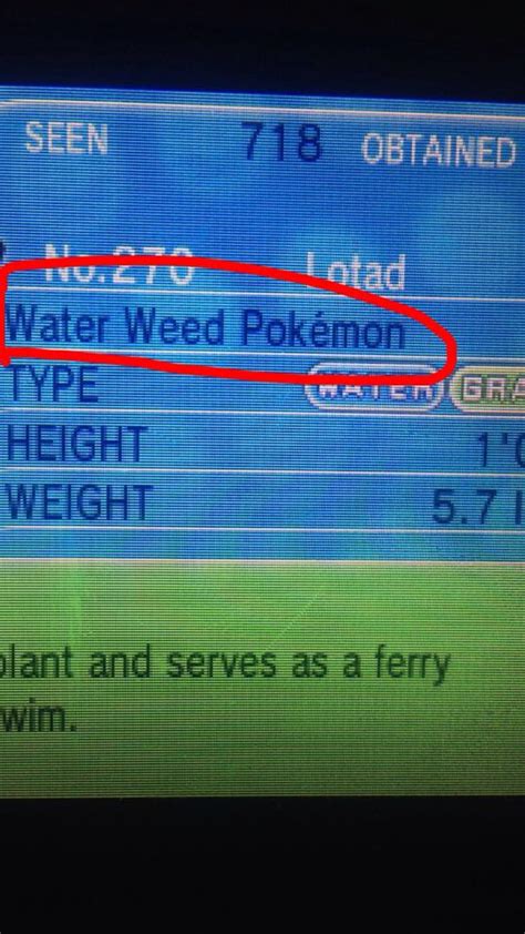 Waterweed Rpokemon