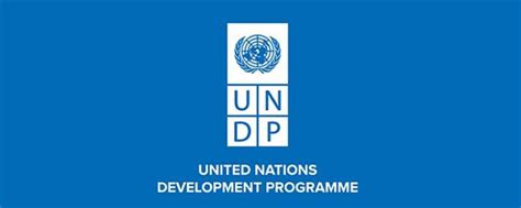 Undp Holds Health Technology Access And Delivery Dialogue