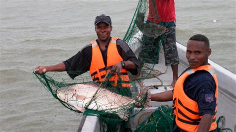 Pescadores Artesanales Podr N Industrializarse Y Acceder A La