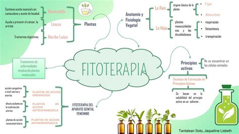 Fitoterapia Y Trofoterapia Jaqueline Tantalean Soto Udocz