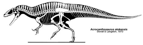 10 Facts About Acrocanthosaurus