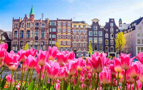 Dove Andare In Primavera In Italia E In Europa Pulze