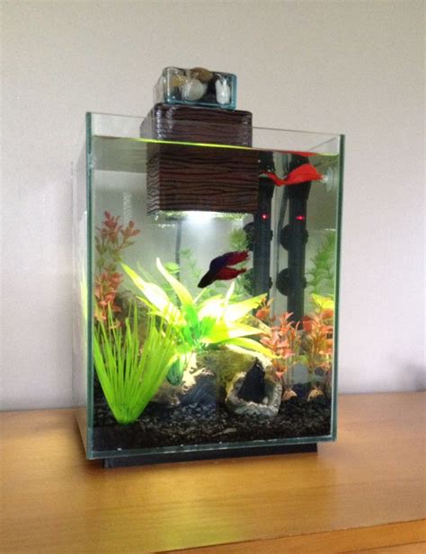 My 5 Gallon Betta Tank Setup Betta Tank Cool Fish Tanks Fish Tank