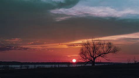 Single Tree Sunset Photograph by Bella B Photography | Fine Art America