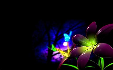 COLORFUL CORNER, colorful, butterfly, flower, the moon, night, HD ...