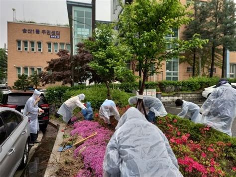 송산1동 주민자치회 ‘깨끗하고 아름다운 송산1동 마을조성 사업 진행