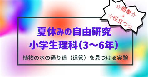 夏休みの自由研究！小学3年生から6年生まで対応！簡単にできる理科の植物の実験動機や目的も解説【短期間で完結】 今よりも幸せになるための方法論