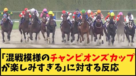 【競馬】「混戦模様のチャンピオンズカップが楽しみすぎる」に対する反応【反応集】 競馬動画まとめ