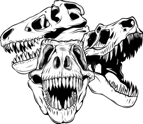 Tyrannosaurus Rex Dinosaur Head In Black And White Outline Vector